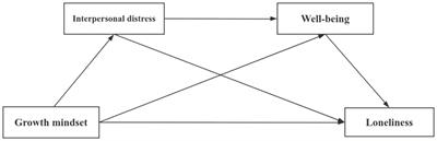 Growth mindset and well-being in social interactions: countering individual loneliness